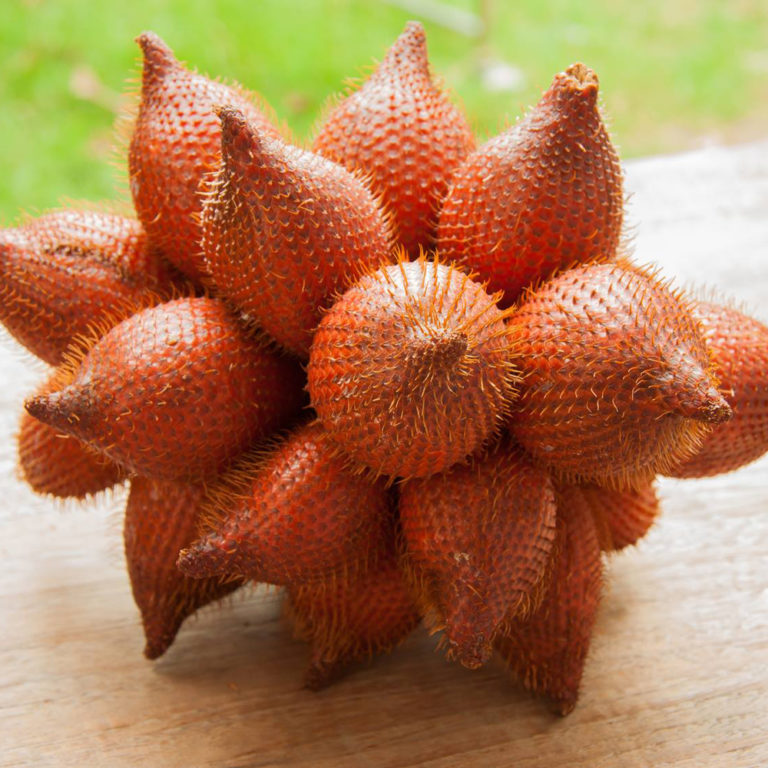 cara membuat keripik salak