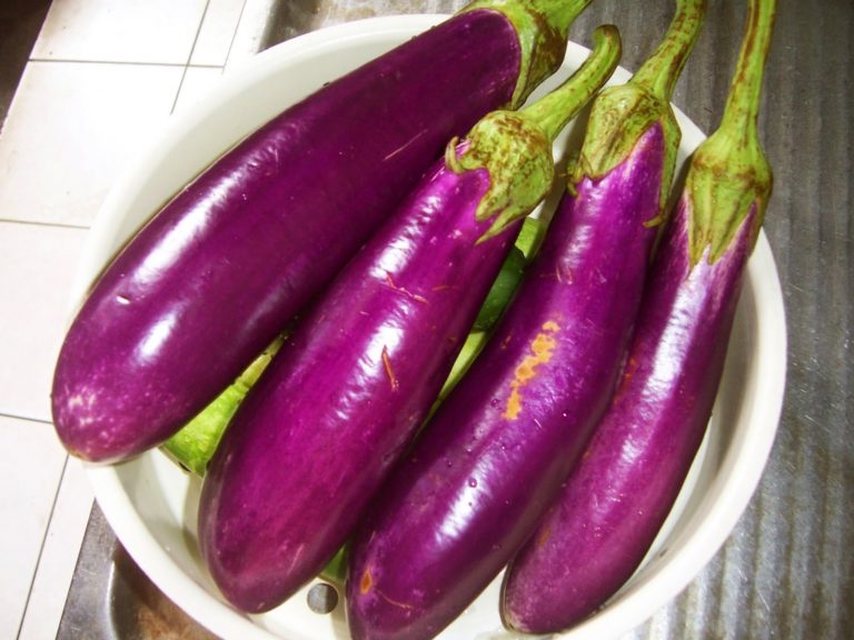 cara membuat keripik terong