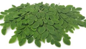 keripik daun kelor