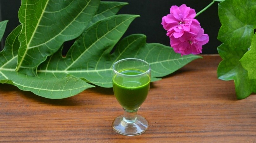 keripik daun pepaya 4