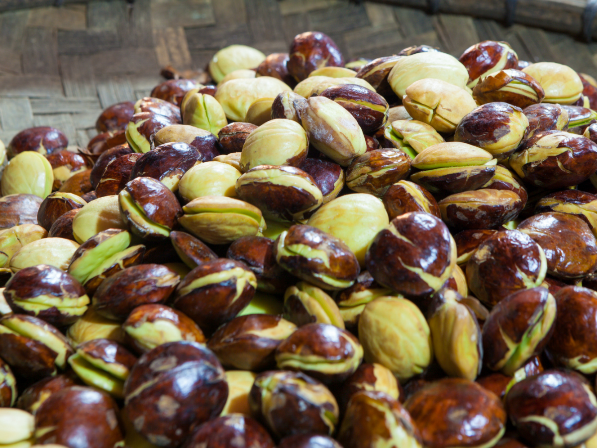 resep keripik jengkol