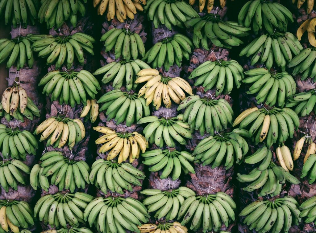 Cara Membuat Sale Pisang Kepok