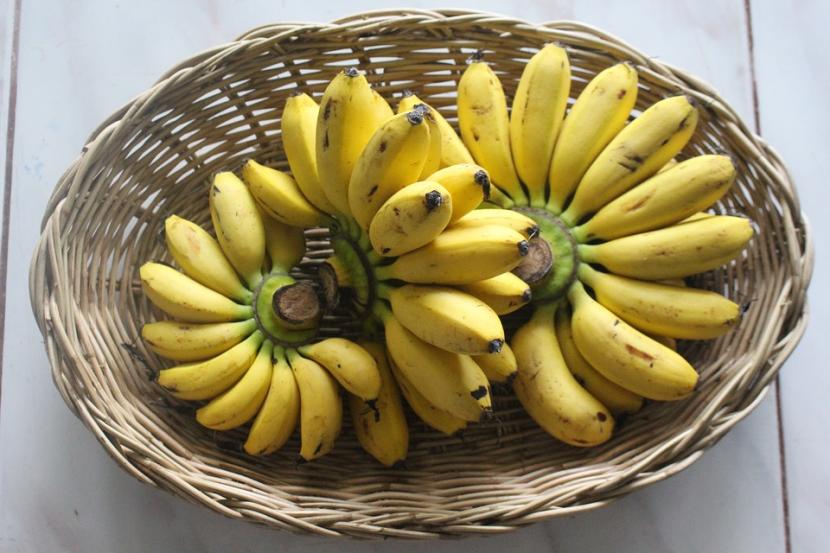 manfaat-manfaat Pisang