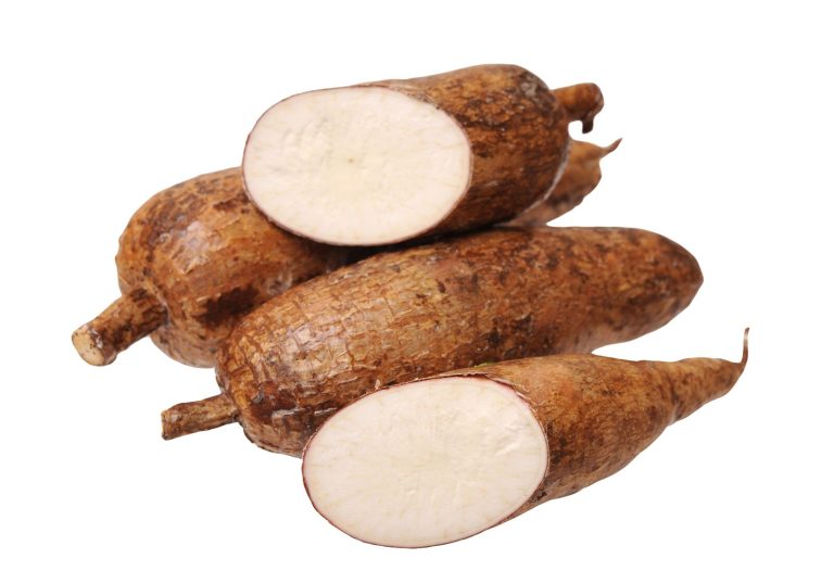 jenis singkong untuk keripik