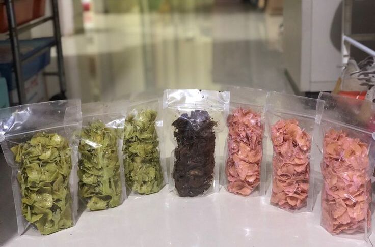 perhitungan usaha keripik pisang